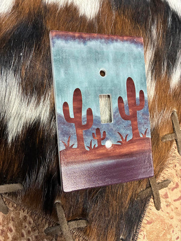 Painted Desert Switch and Outlet cover