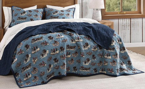 Settler 3pc Quilt Set