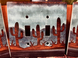 Painted Desert Switch and Outlet cover